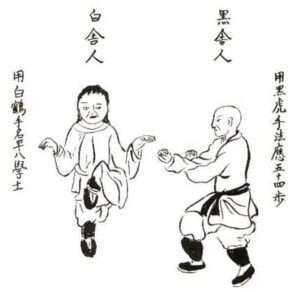 Bubishi - Fujian White Crane