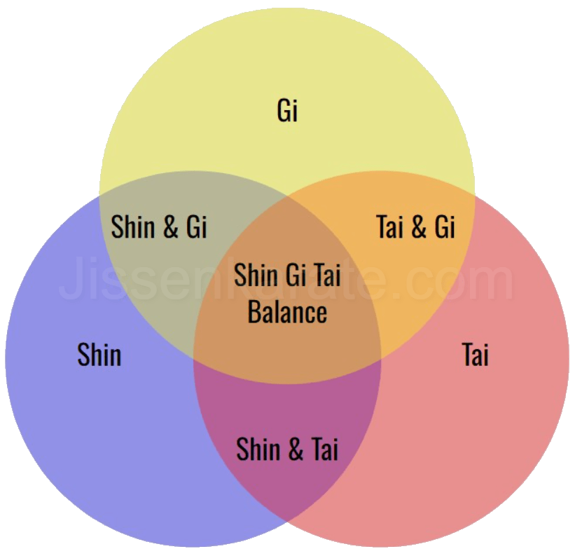 Shin Gi Tai - Mind Technique Body - Balance