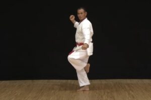 Shorin-ryu Shorinkan - Eiroku Saijo Sensei - Chinto