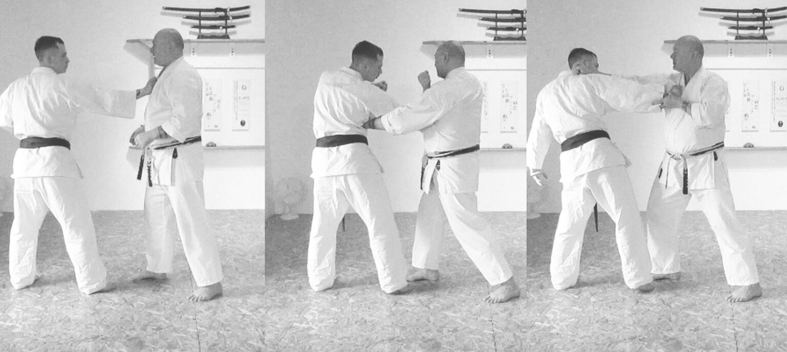 Interpretation of techniques (short version) - Jissen Karate