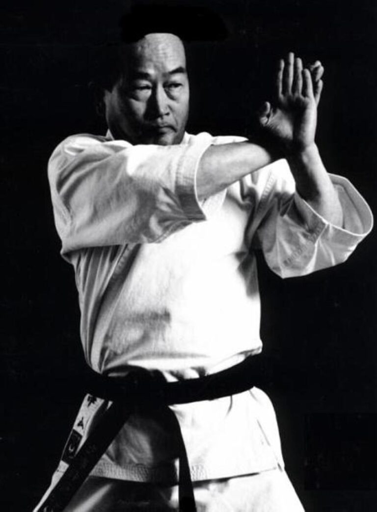 Yoshitaka Funakoshi’s Shotokan - Jissen Karate