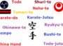 A Journey Through Karate's Changing Terminology